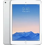 IPAD AIR 2 32GB WI-FI SPACE GREY RIG